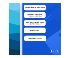Bertho - Agência de Marketing Digital